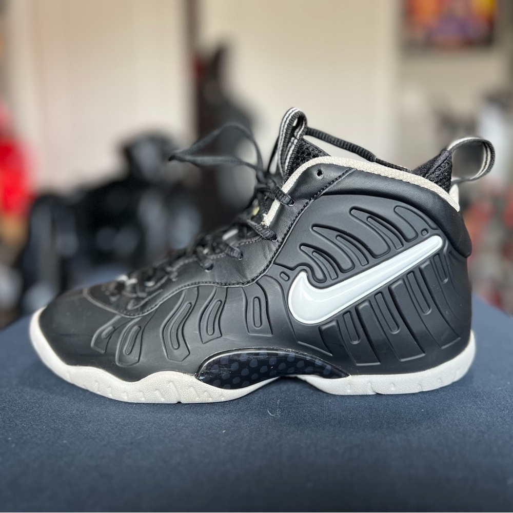 Little Posite Pro GS